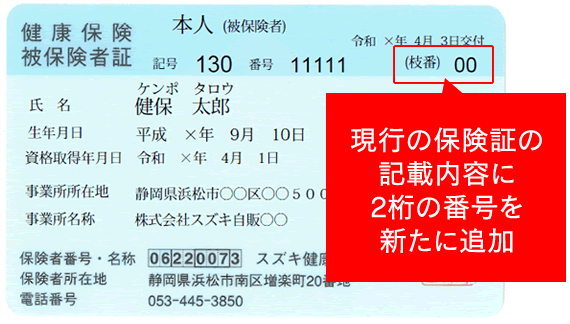 保険証 見本